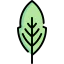 Leaf icon 64x64