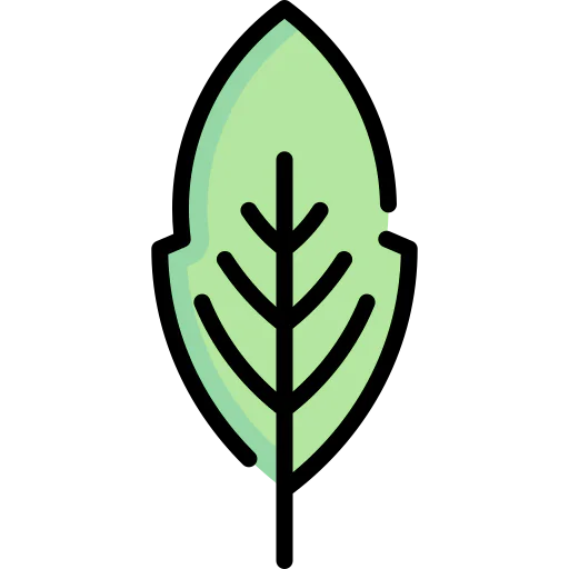 Leaf icon
