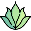 Aloe vera icon 64x64
