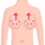 Breast biểu tượng 64x64