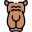 Camel icon 64x64