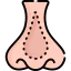 Nose icon 64x64