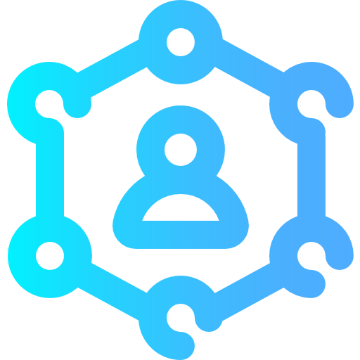 Network icône