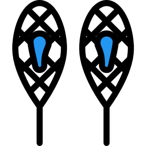 Snowshoes icon