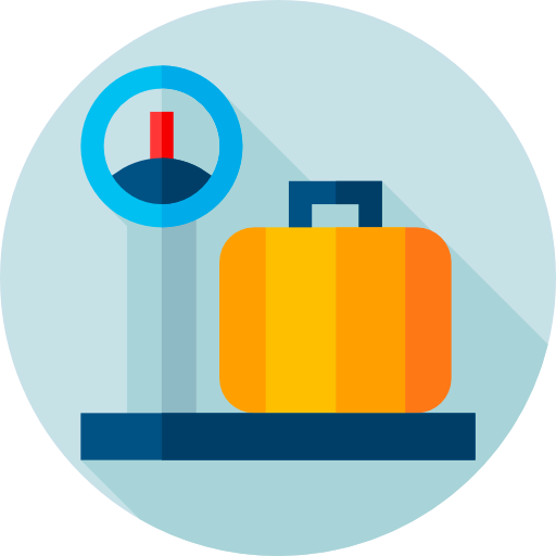 Scale icon