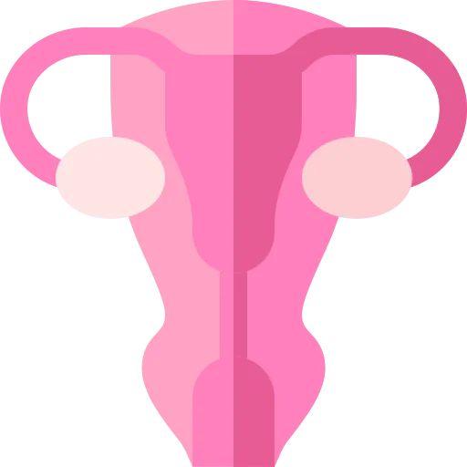 Uterus 图标