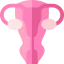 Uterus іконка 64x64
