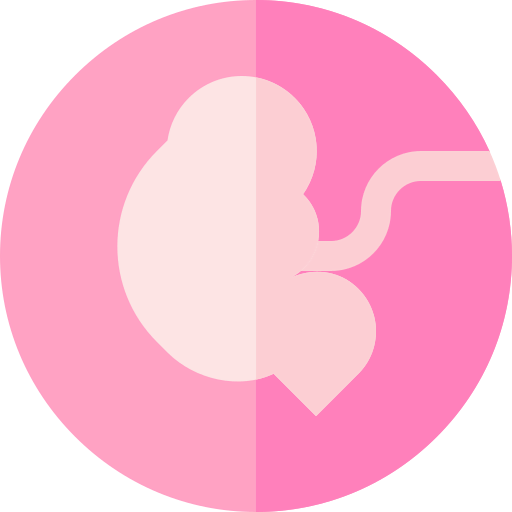 Fetus 图标