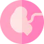 Fetus іконка 64x64