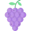 Grapes ícono 64x64