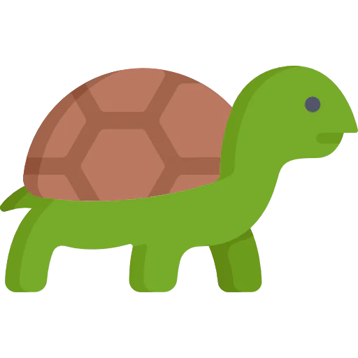 Turtle 상