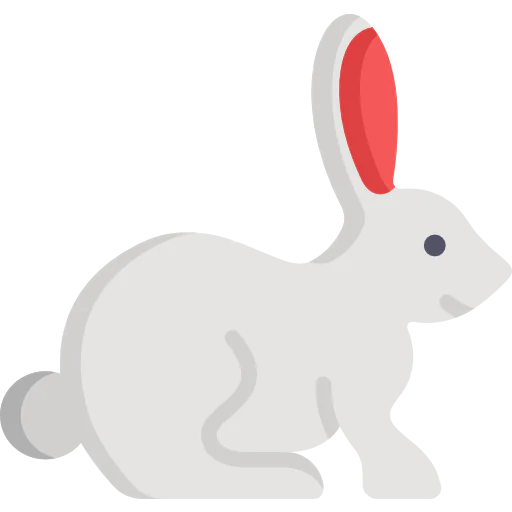 Rabbit 상
