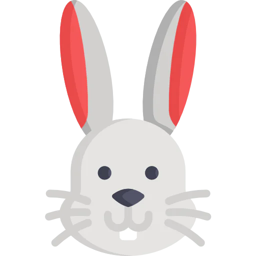 Rabbit icon