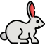 Rabbit ícone 64x64