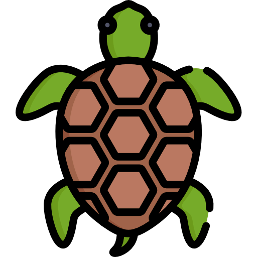 Tortoise icon