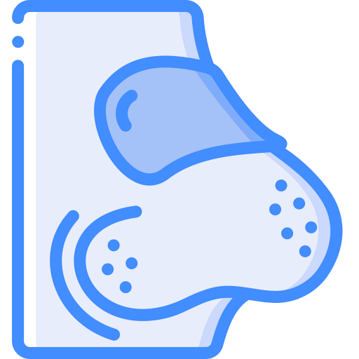 Strip icon