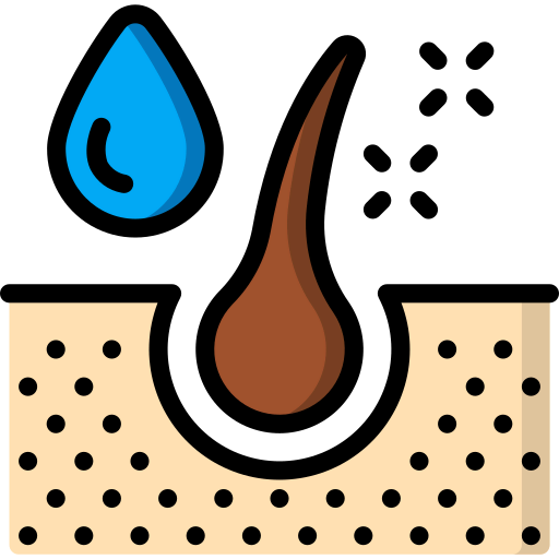 Dermis icon
