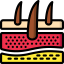 Dermis icon 64x64