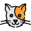 Cat ícone 64x64