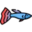 Fish ícone 64x64