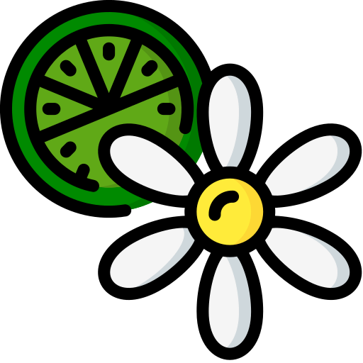 Citrus icon