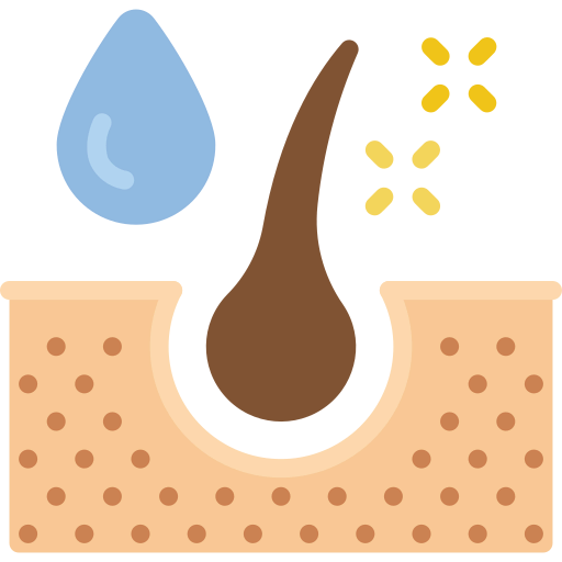 Dermis icon