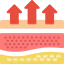 Dermis biểu tượng 64x64