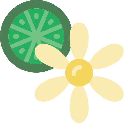 Citrus icon