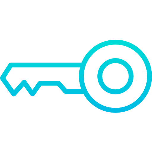 Key icon