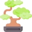 Bonsai Ikona 64x64