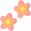 Sakura Ikona 64x64