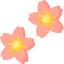 Sakura 图标 64x64