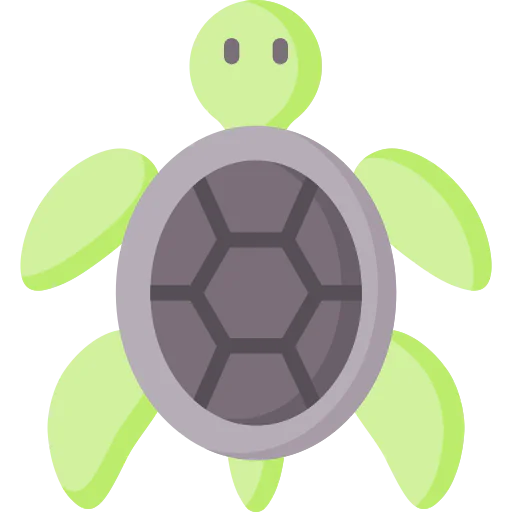 Turtle icon