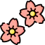 Sakura icon 64x64