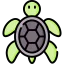 Turtle icon 64x64