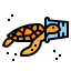 Turtle icon 64x64