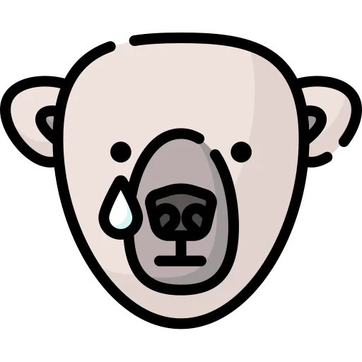 Bear icon