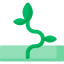 Sprout 图标 64x64