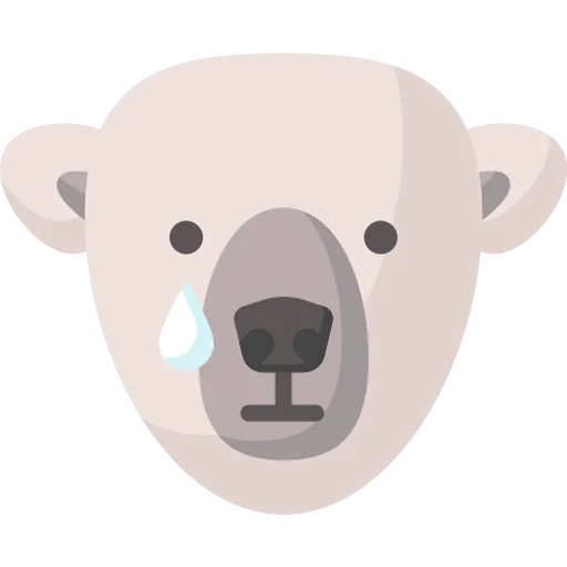 Bear icon