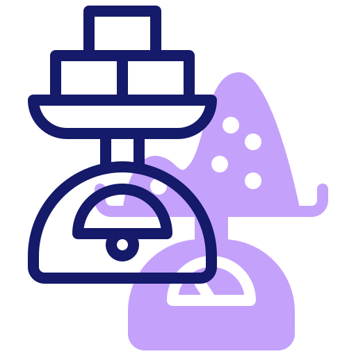 Scale icon