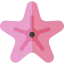 Starfish 图标 64x64
