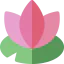 Lotus flower іконка 64x64