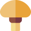 Mushroom 图标 64x64