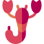Scorpion icône 64x64
