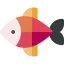Fish 图标 64x64