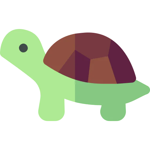 Turtle icon
