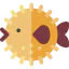 Blowfish icon 64x64