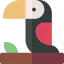 Toucan 图标 64x64
