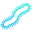 Centipede icône 64x64