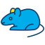 Rat icon 64x64